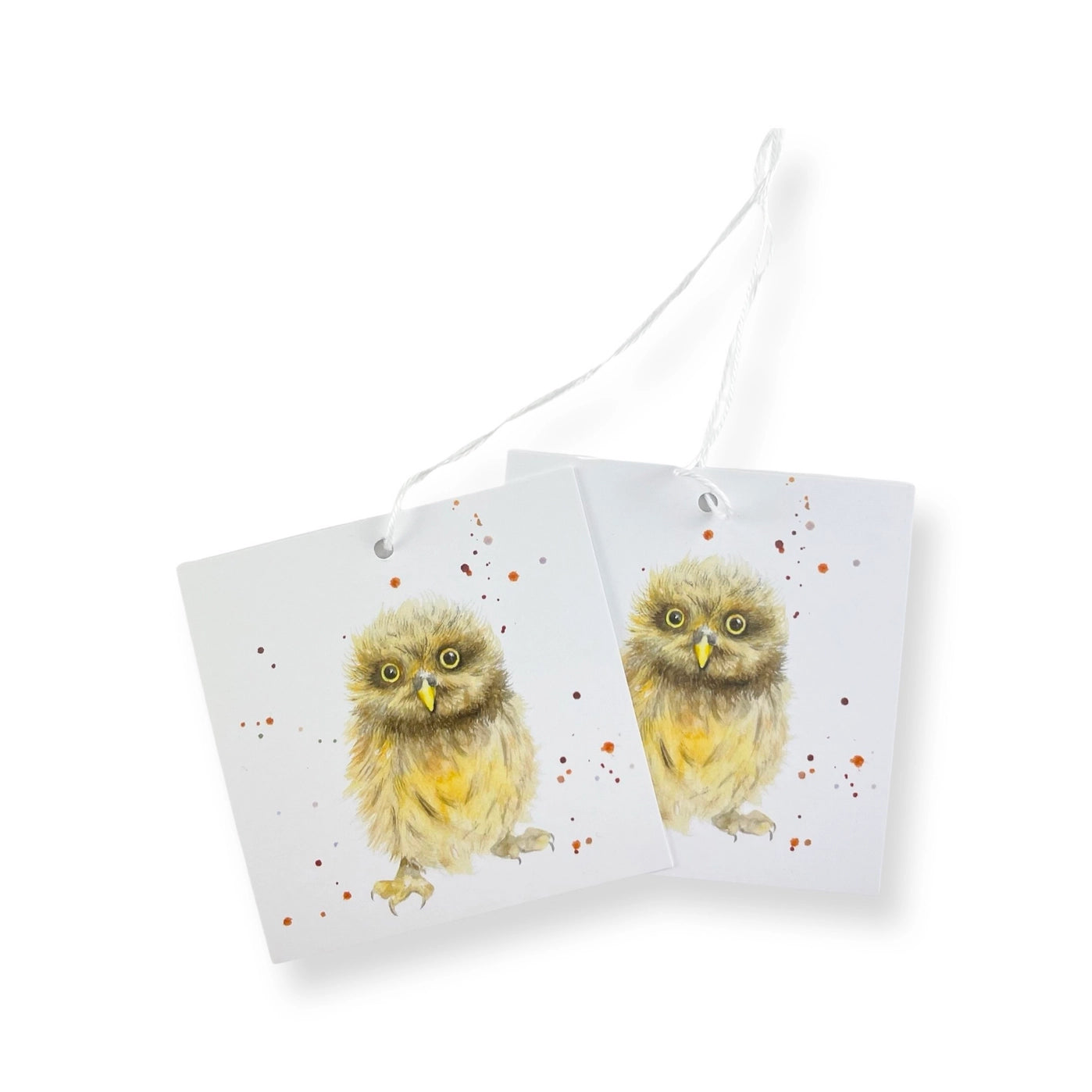 Owl recycled and recyclable Wrapping Paper and tags