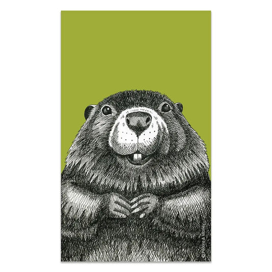 Beaver Tea Towel