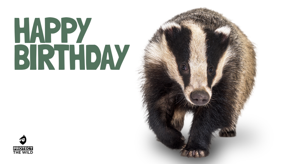 Protect the Wild Online Gift Card