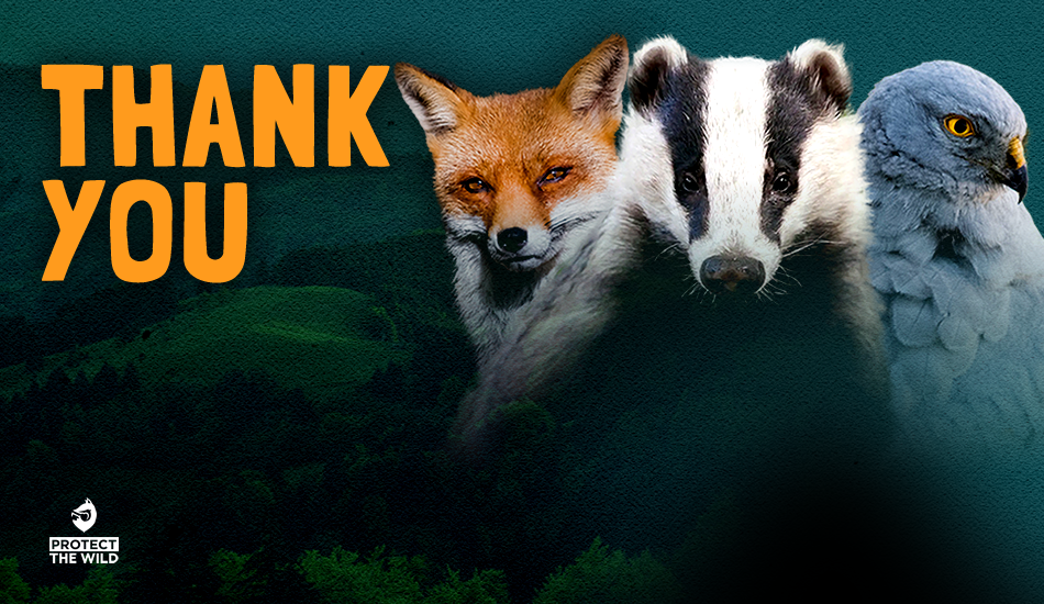 Protect the Wild Online Gift Card