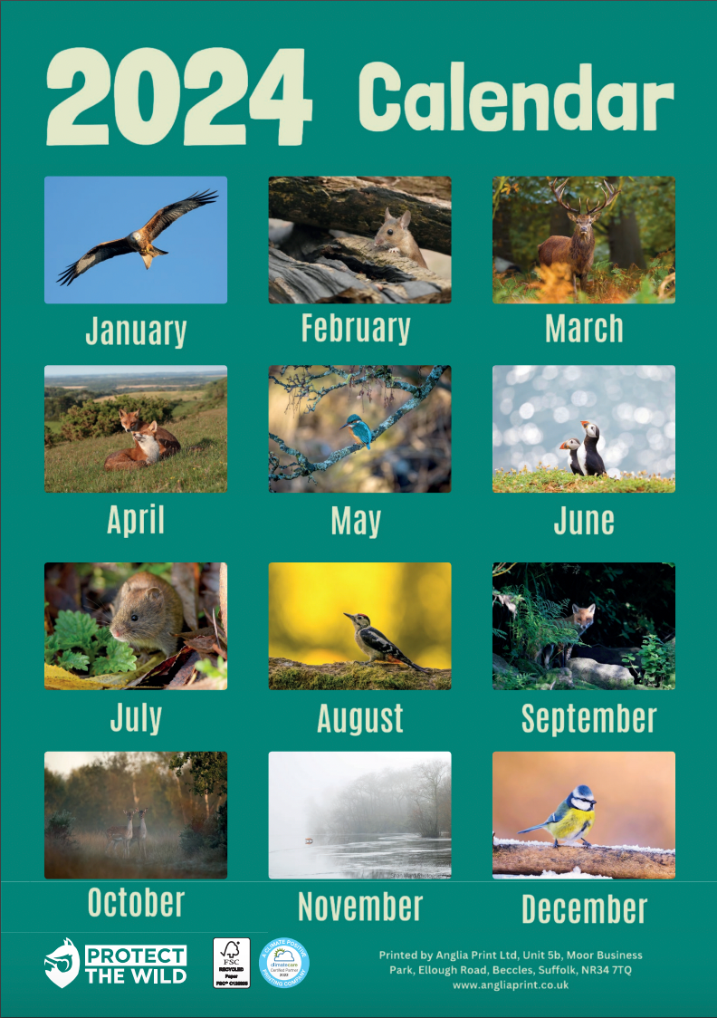 Protect the Wild Calendar 2024