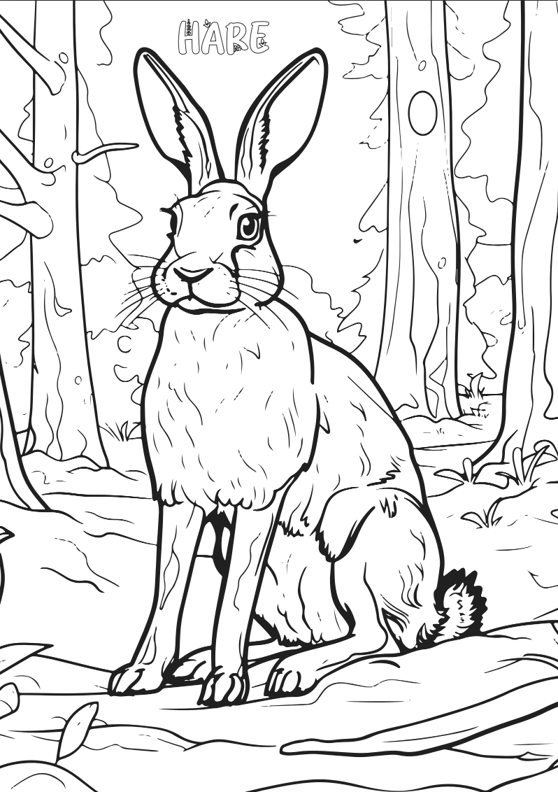 Wildlife Colour-in Poster Set (Pack of 5)