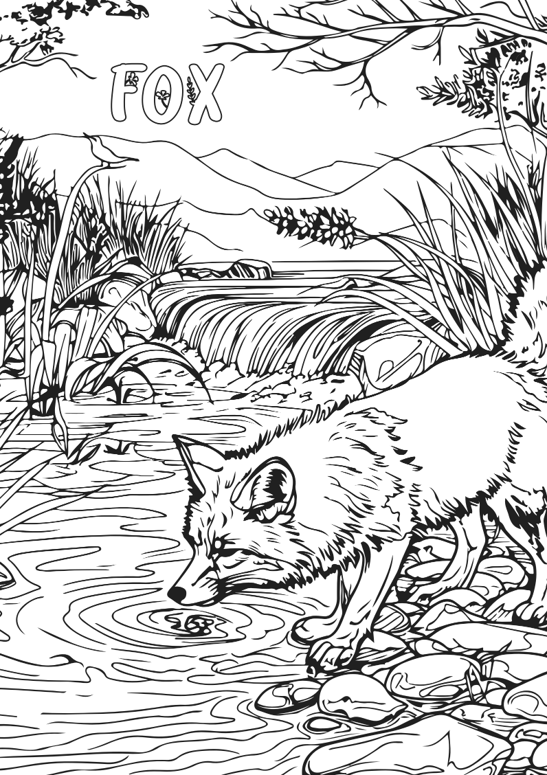 Wildlife Colour-in Poster Set (Pack of 5)