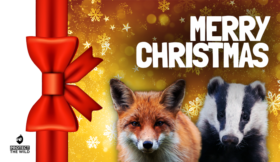 Protect the Wild Online Gift Card