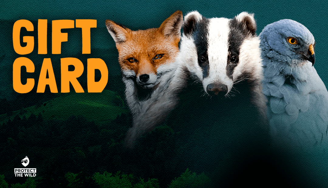 Protect the Wild Gift Card