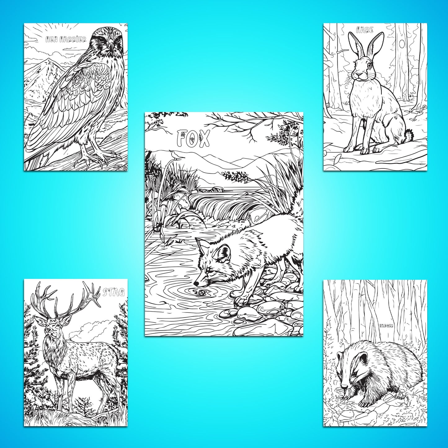 Wildlife Colour-in Poster Set (Pack of 5)