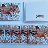 PTW Xmas Card Pack (8 Cards)