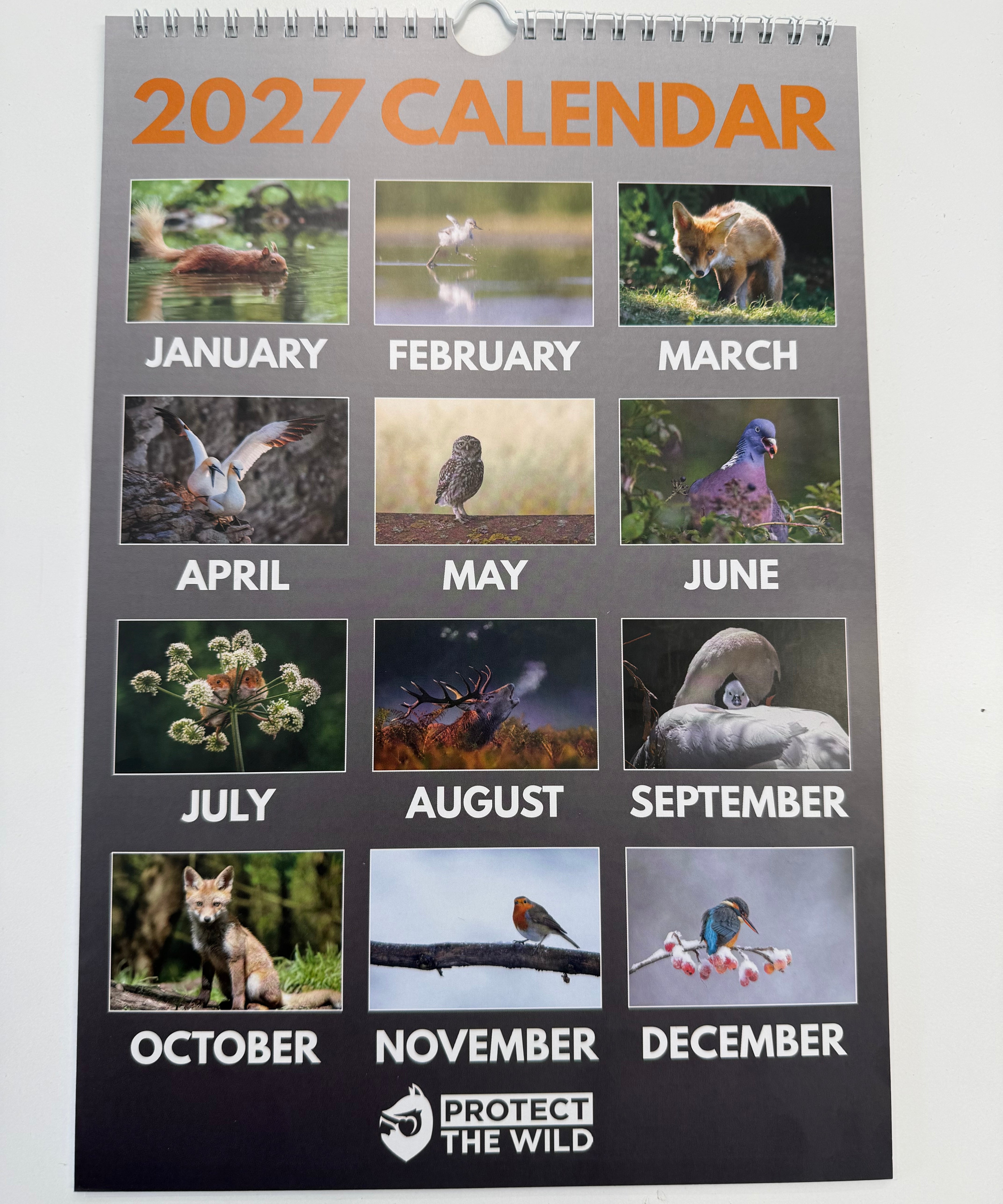 2027 British Wildlife Calendar