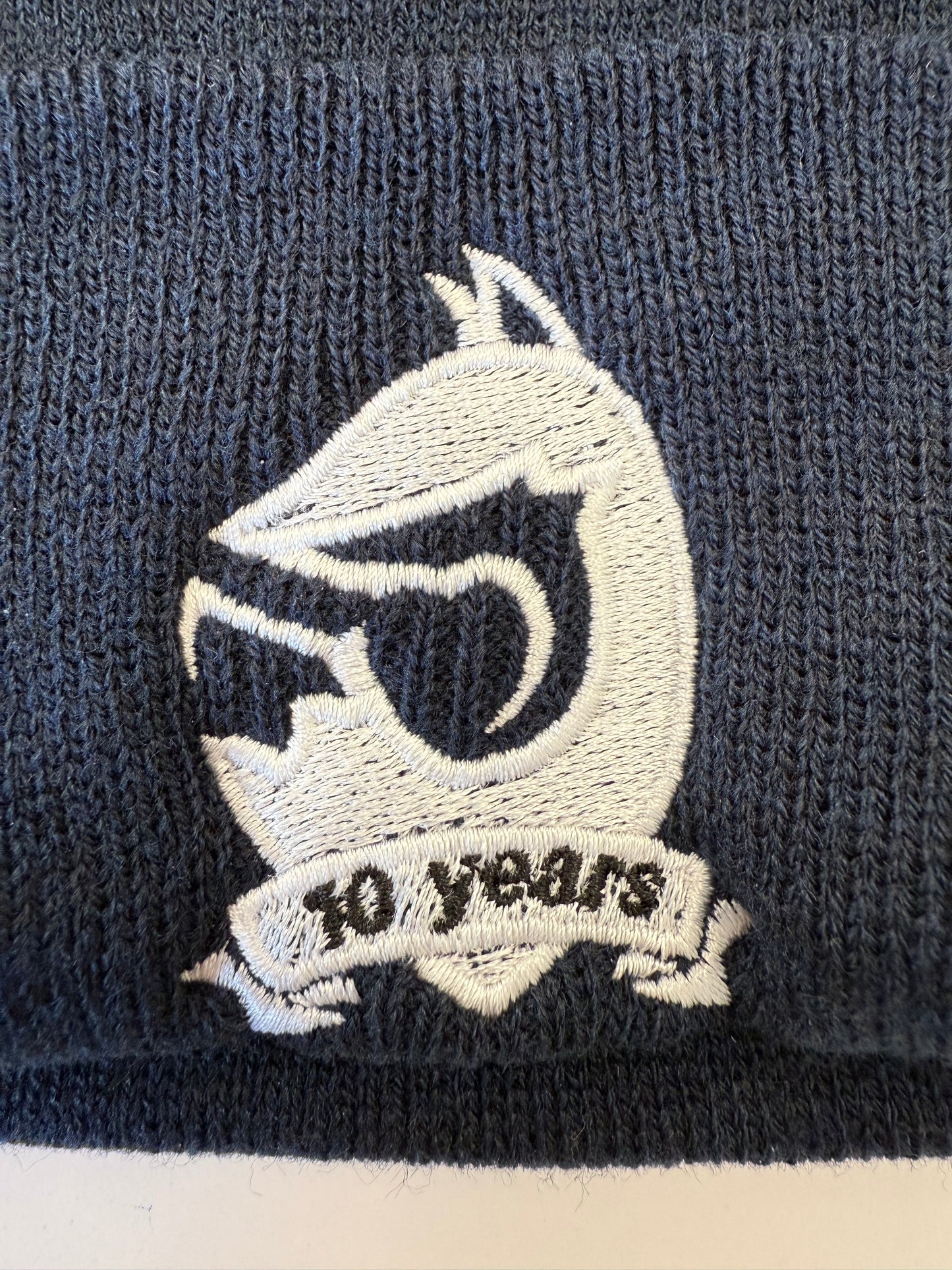 PTW Recycled Beanie (10th Anniversary Limited Edition)