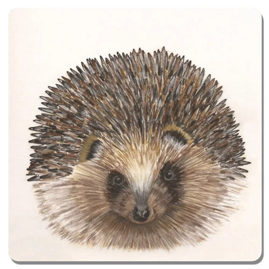 Hedgehog Coaster