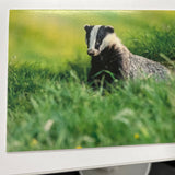 British Wildlife Photo Card Pack
