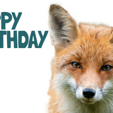 Protect the Wild Online Gift Card