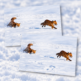 Xmas Card Pack (8 cards)