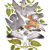 Protect the Wild Print