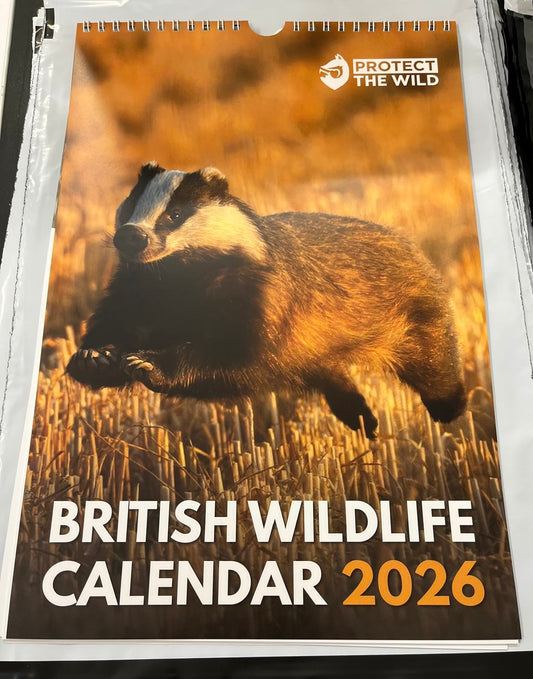 2026 British Wildlife Calendar