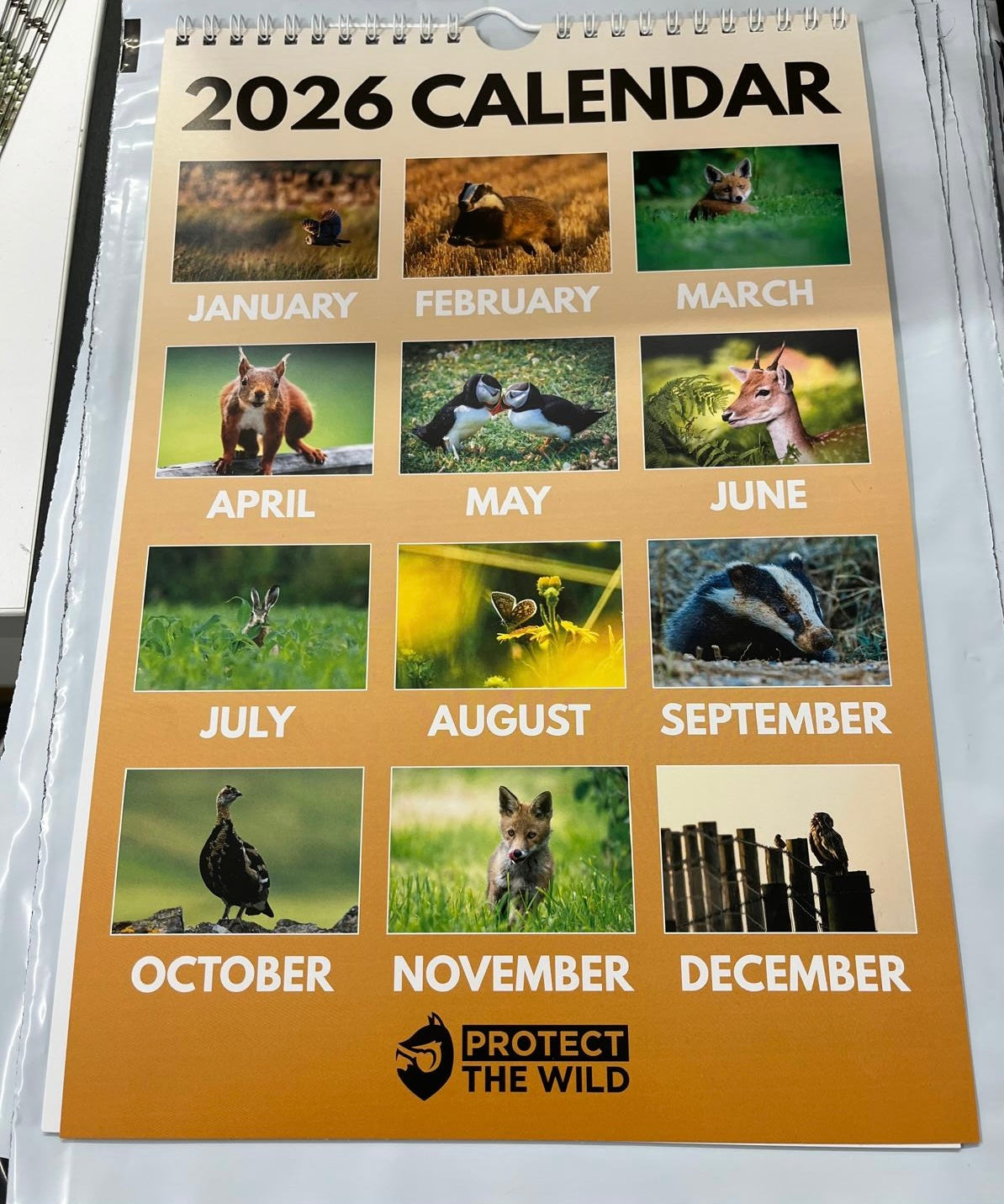 2026 British Wildlife Calendar