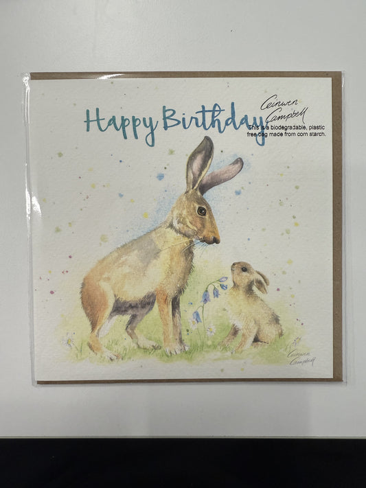 Happy Birthday Hare Card