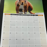 2026 British Wildlife Calendar