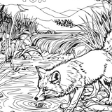 Wildlife Colour-in Poster Set (Pack of 5)
