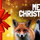 Protect the Wild Online Gift Card