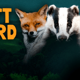 Protect the Wild Gift Card