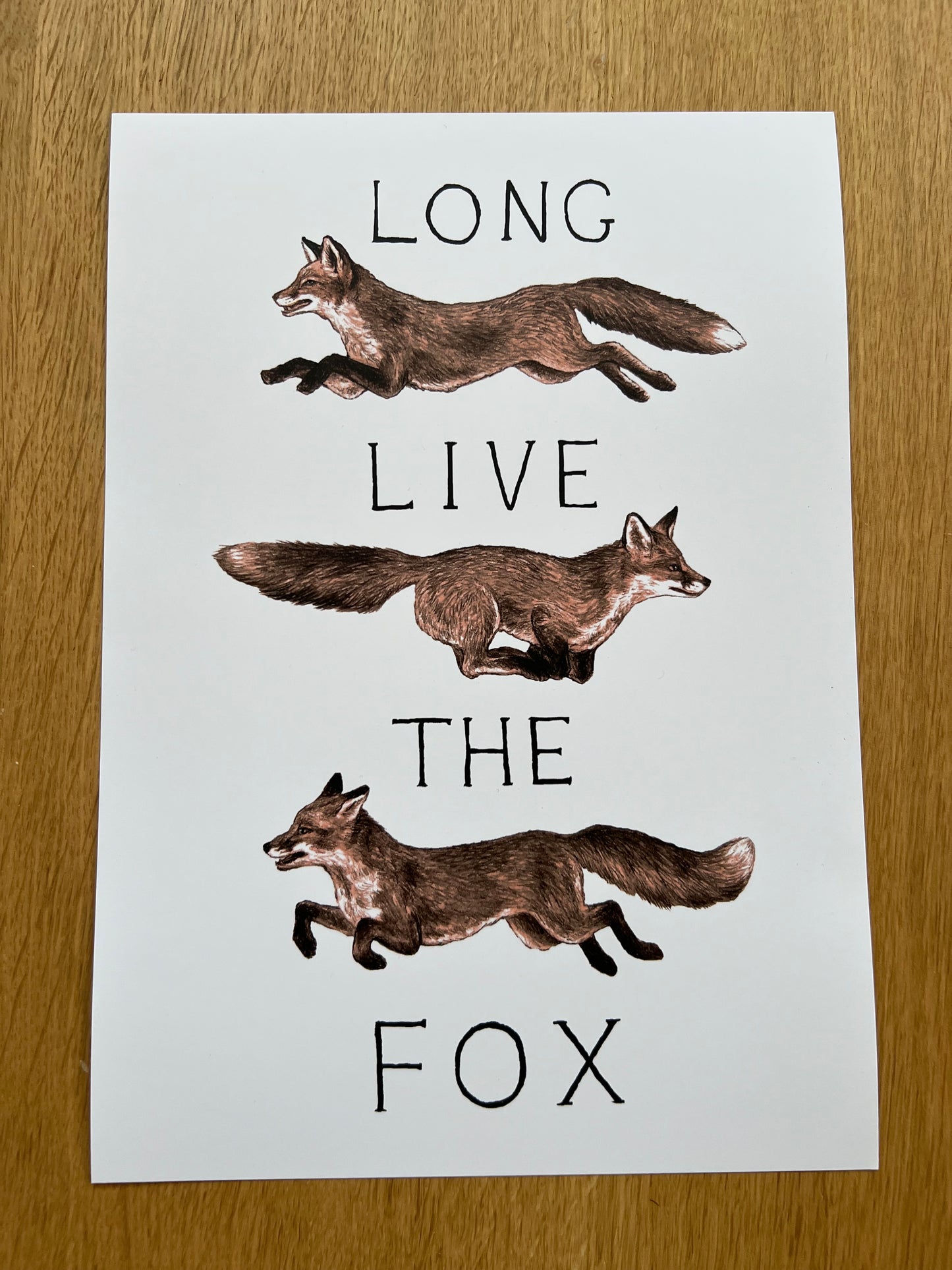 Long Live The Fox A4 Print
