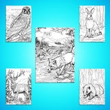 Wildlife Colour-in Poster Set (Pack of 5)