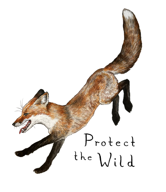 Protect the Wild Window Sticker